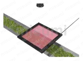 平顶照明（漫射光）LFXV 系列 茶叶中异物成像的使用示例