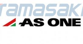 AS ONE CORPORATION