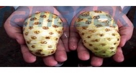 MK实验室业务总部