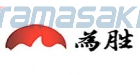 深圳为胜智控技术有限公司