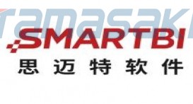 广州思迈特软件有限公司