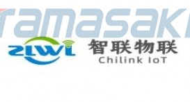 福建星网元智科技有限公司