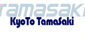 德马吉森精机机床贸易有限公司 