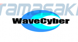 日本WAVECYBER韦布赛博
