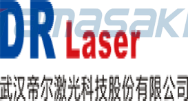 武汉帝尔激光科技股份有限公司