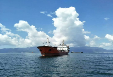 杨团队之帆 铸企业之舰  We are 伐木累