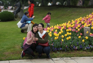京都玉崎 2019年清明节 放假通知