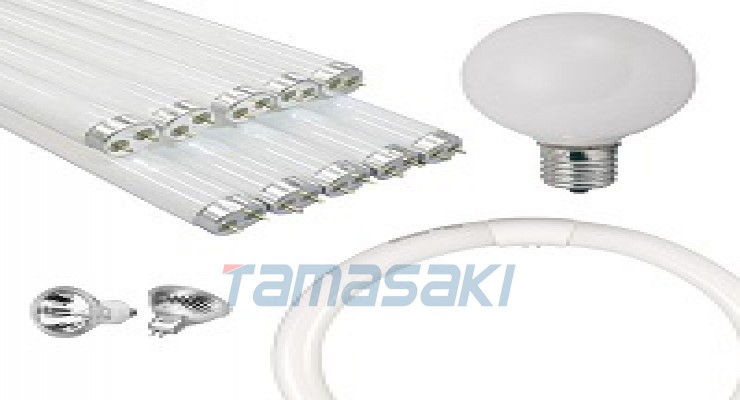 Ushio JCD100V1000WC 光学设备用卤素灯泡 GY9.5 底座 1 件