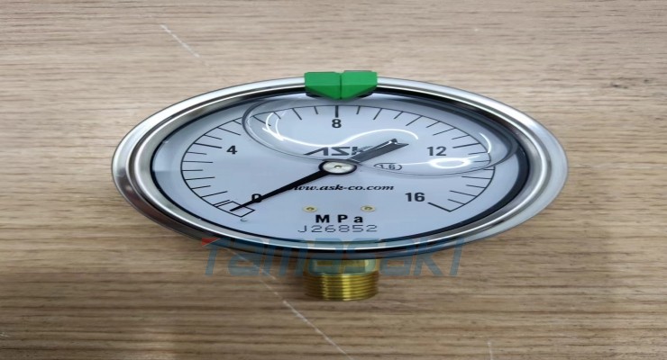 实物现货 NSK耐振充油压力OPG-AT-R1/4-60-16Mpa