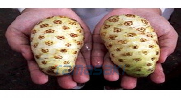 MK实验室业务总部