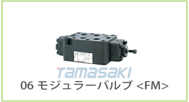 HIROSE-VALVES广濑阀门止回阀（FMC）FMC-06-P-50-21/FMC-06-P-35-21