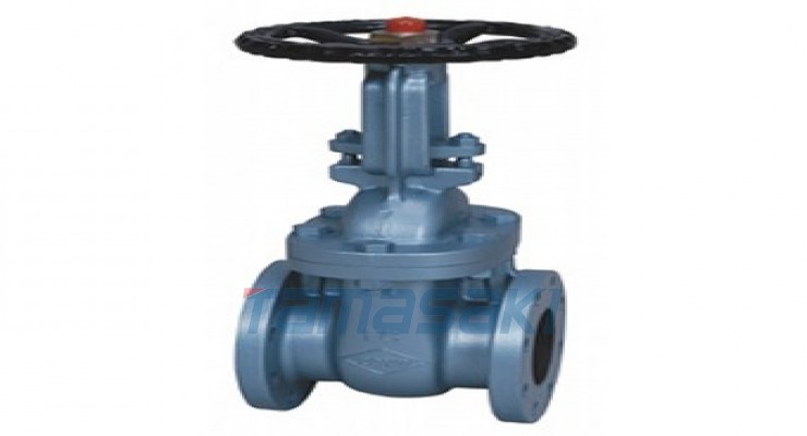 日本现货TOYO VALVE东洋20-DSR-N法兰型闸阀 耐腐蚀、耐磨