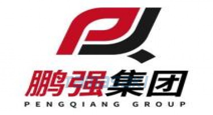 鹏强智能科技集团（广东）有限公司