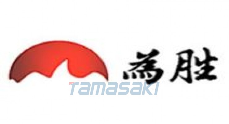 深圳为胜智控技术有限公司