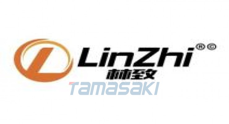 林致电热（东莞）有限公司