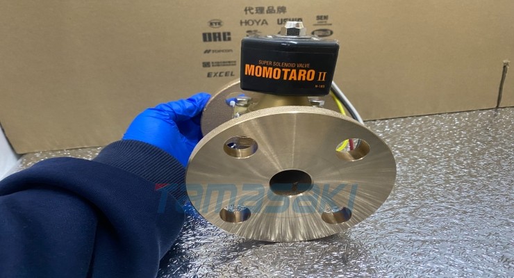 已入库现货 大野阀门NSB10C-BW-SUS316I-FP 150京都玉崎