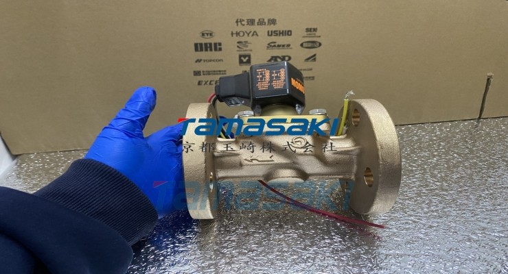 已入库现货 大野阀门NSB10C-FLG-25A-SUS316I-FP京都玉崎