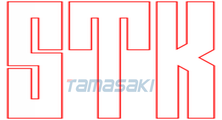 埃斯特贸易株式会社