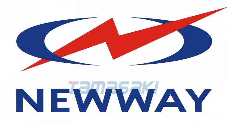 深圳市路维光电股份有限公司