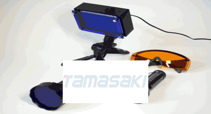 GFP 宽范围 100 LED 立式灯，带橙色滤光镜LEDGFP-100FSTND-OGHC