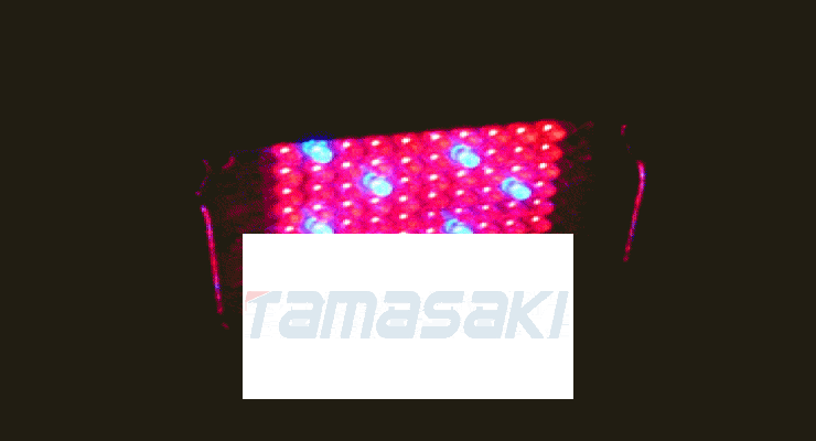 用于植物研究的LED波长指定支架LEDPLT-100SD