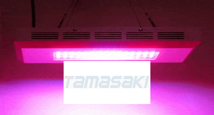 包邮日本optocode用于植物研究的功率 LED 平板灯LEDR-660DL